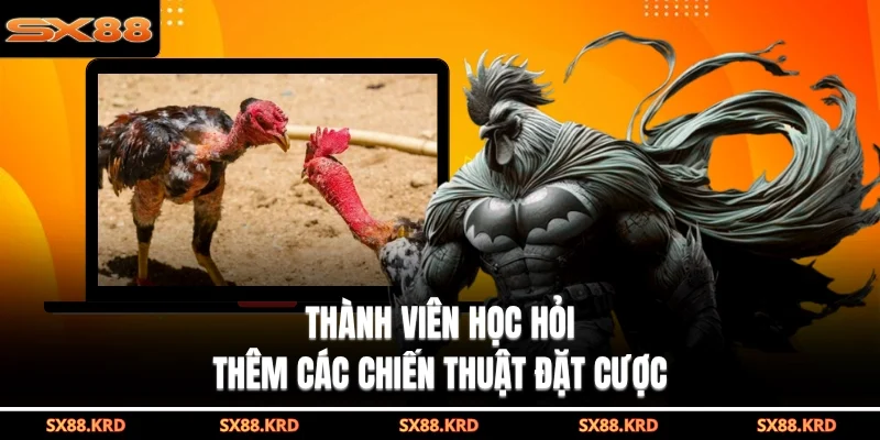 Thành viên kiên nhẫn thường chọn đúng cửa cược