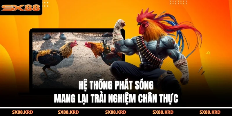 Hệ thống phát sóng mang lại trải nghiệm chân thực